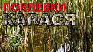 Рыбалка на поплавок. ПОКЛЕВКИ КАРАСЯ.