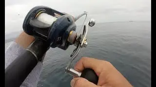 Putting the Daiwa Lexa to the Limits! Coranado Islands Yellowtail! Aboard the Mission Belle