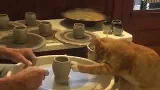 Внёс поправки )