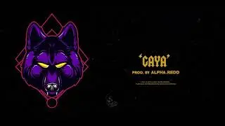 CENTRAL CEE X UNKNOWN T Type Beat 2024 - 'GAYA' | REDDAUDIO.CO