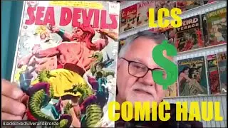 Comic Haul Video #46 - LCS Dollar Bin Haul