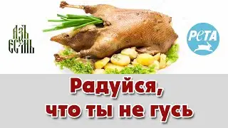 Молитва перед ужином