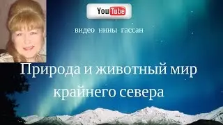 Природа  и животный мир  крайнего  севера
