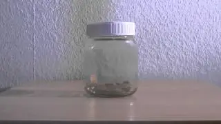 Magic Coin Glas