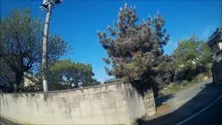 電柱から謎音が鳴ってる