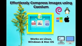Effortless Image Compression: Mimicking Calibre Image Actions locally with Caesium!