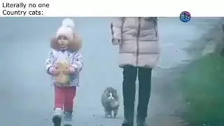 New Mortal Kombat 11 DLC character - Milo the cat.