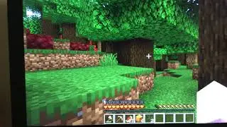 Wired Minecraft glitch (read desc)