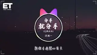 洋瀾一 - 分手就分手 (DJ鐵柱版)『你終於開了口 說分手就分手，我也不再挽留 那曾經的擁有。』【動態歌詞MV】