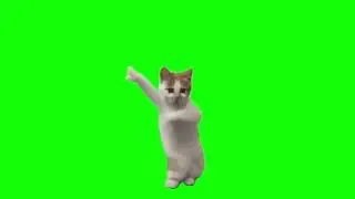 Котик танцует под Estern