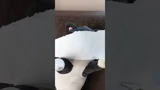 4 августа 2023 г.