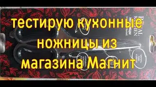 Тестирую кухонные ножницы из магазина Магнит от фирмы Royal Kuchen.