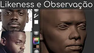 Likeness! Poor observation? Or poor visual processing?