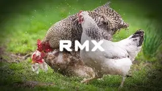 Boots Randolph – Yakety Sax (RMX Trap Remix)