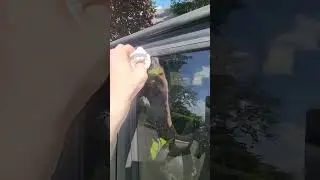 No Goo Gone? just use WD-40. Glass only