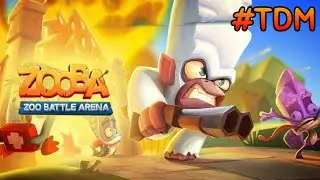 Zooba: Zoo Battle Arena | Death Match | Gameplay