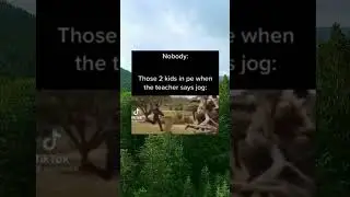 Discord meme #1 
