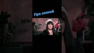 Кто-то из мужчин олень 
