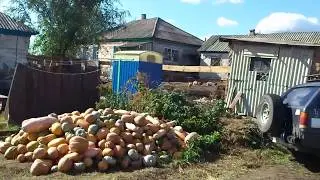 Когда хорошие соседи...