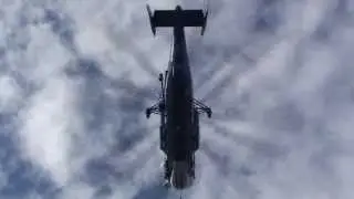 Notas de viaje a la Antartida