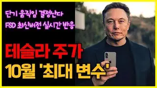 테슬라 주가 움직임 주목..10월이 '최대 변수'된다, FSD 최신버전 실시간 반응