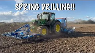 DRILLING SPRING BEANS!!
