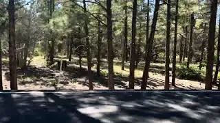 Arizona HD Road Glide CVO - No helmet