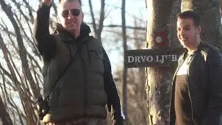 DRVO LJUBAVI MEDVEDNIK