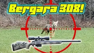 Coyote Hunting with the Bergara Wilderness Terrain 308!