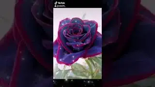 Необычные розы.