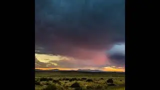 СаМ Себе!  прямой эфир