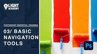 Photoshop Essential Training  03  05 Basic Navigation Tools