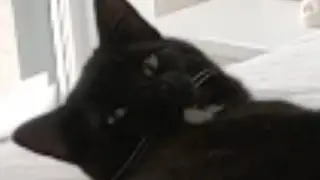 clearly I interrupted something