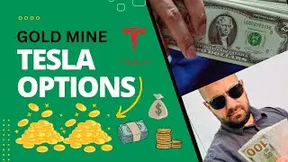 Tesla Options What a Gold Mine!!!