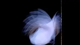 Kira Kira - Welcome High Frequency Spirits United
