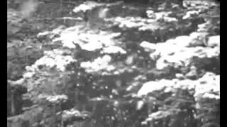 Архив 19