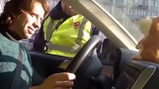 Говорящий хомяк и инспектор ГИБДД