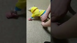 21 ноября 2019 г.