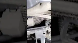 Легкое 
