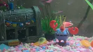 Comiendo un insectito