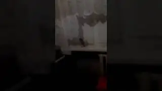Заснял привидение на камеру. Я был в шоке