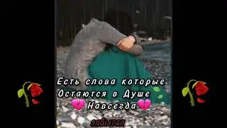 эту песню ищут все 🍃 #забытая #длядуши