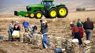 See How American Organic Farming vs Conventional Farming Revealed!