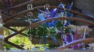 吉野神宮の夏、風鈴、鶴の手水舎 Wind chimes ring at Yoshino Shrine in summer