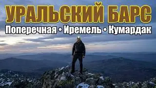 #УральскийБарс