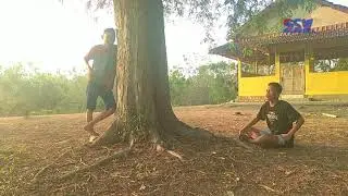 Pohon asam dan orang goblok ( film Jawa Rembang)