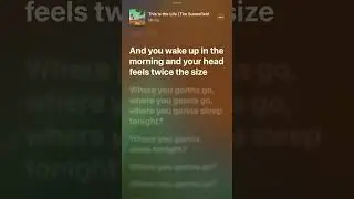Micky - This Is The Life - Lyrics