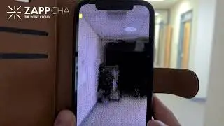 Zappcha Large Lidar Scan