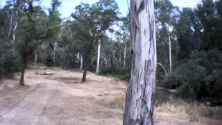 Yowies ARDrone at Noonans flat on the Howqua river
