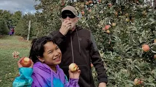 Apple picking with the Castil's